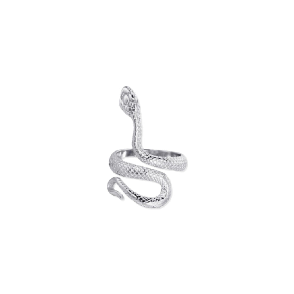 Anello con serpente in argento